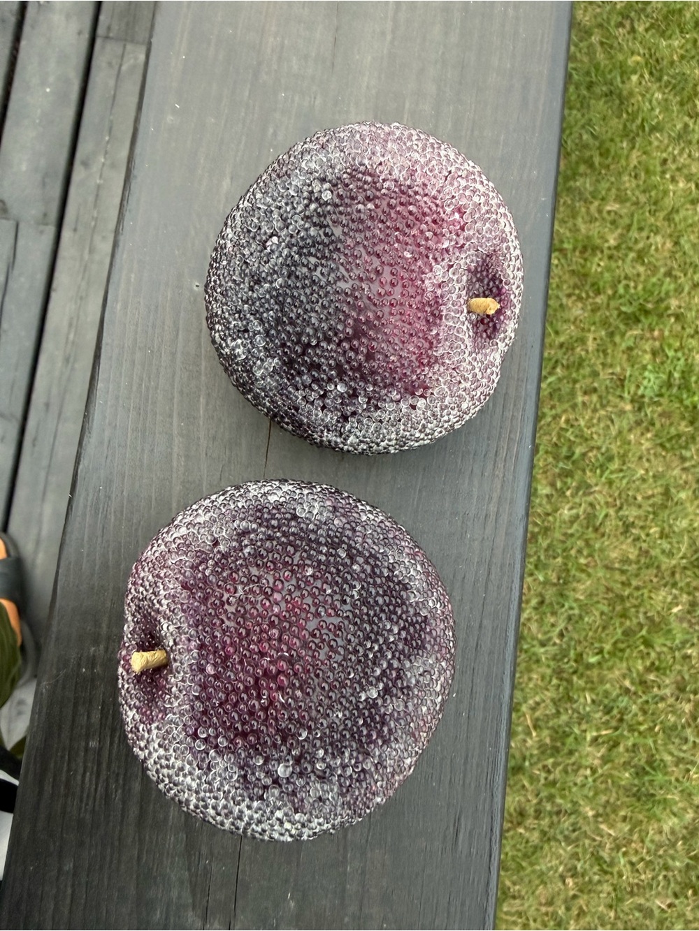 Decorative Frosted Plum Accent - Faux Fruit